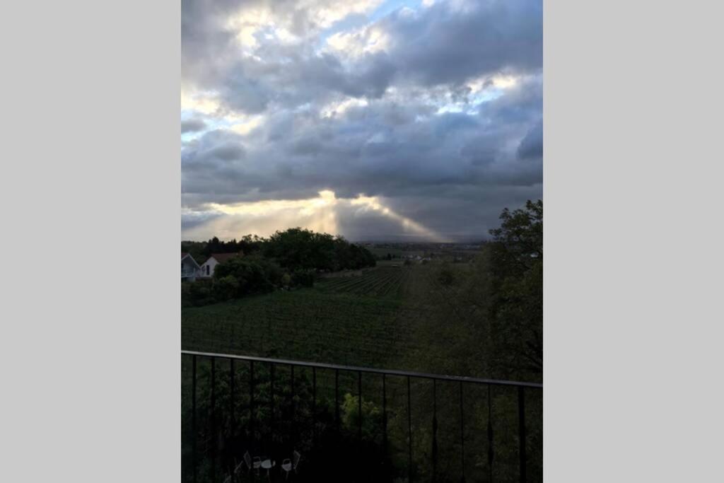 Wunderschoene Wohnung Mit Blick Auf Die Weinberge Neustadt an der Weinstrasse Luaran gambar
