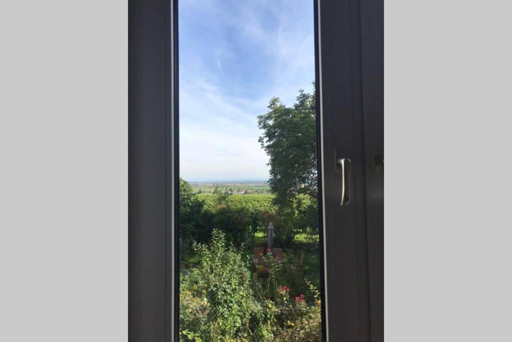Wunderschoene Wohnung Mit Blick Auf Die Weinberge Neustadt an der Weinstrasse Luaran gambar